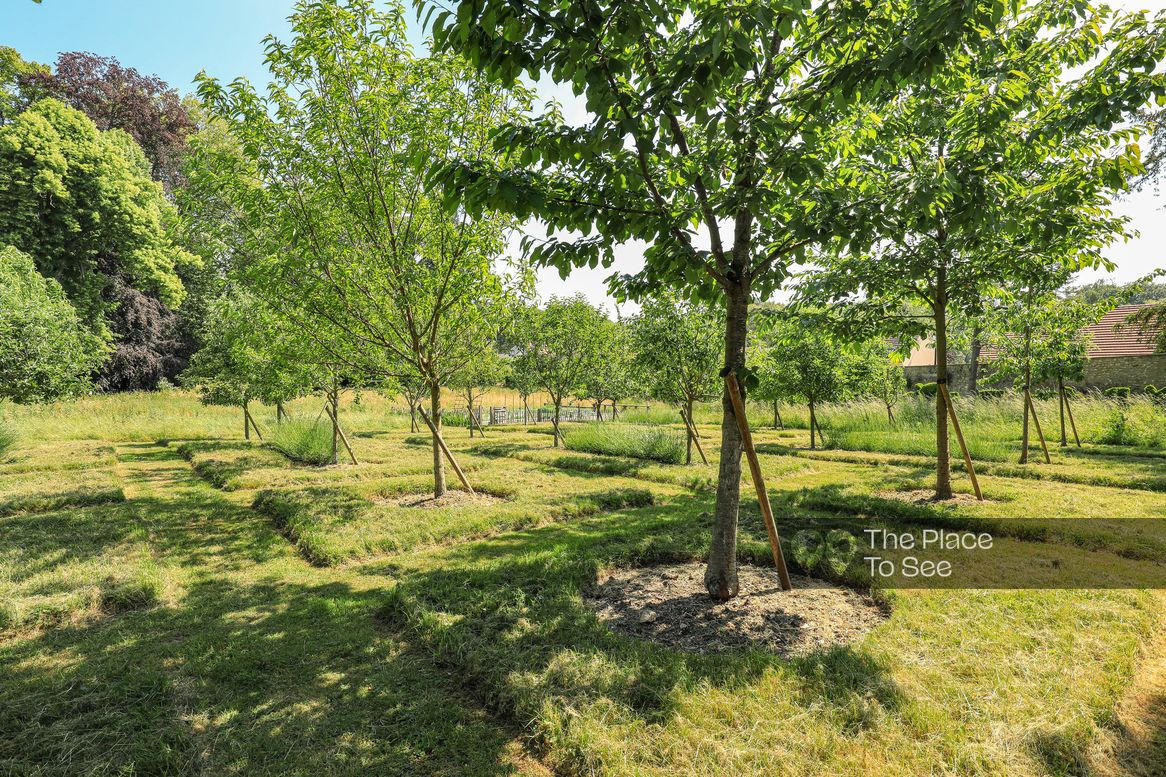 Potager / Verger