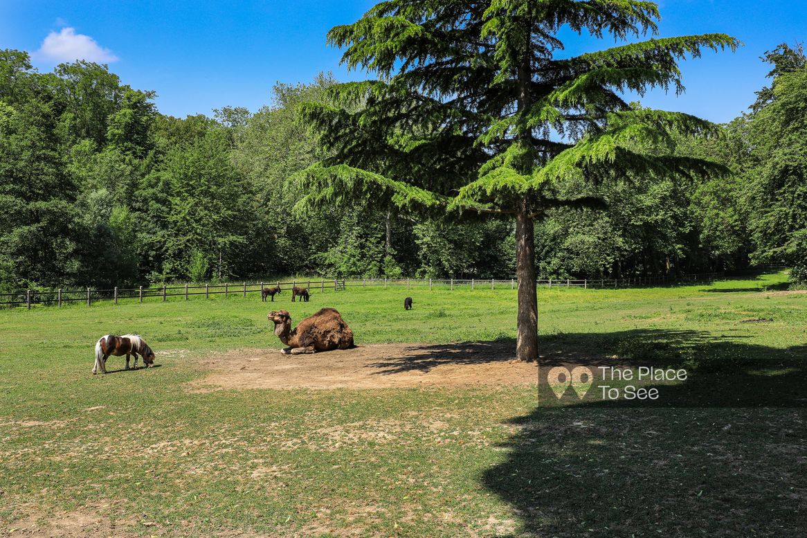 Parc