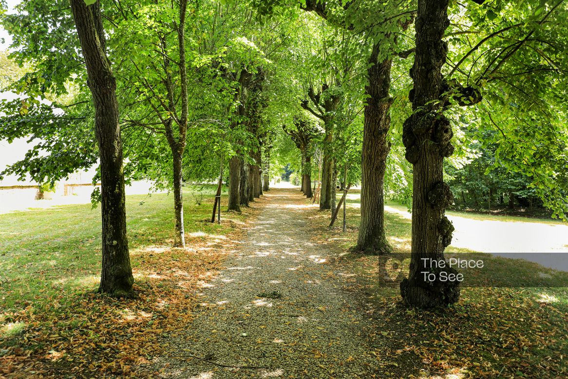 Allée