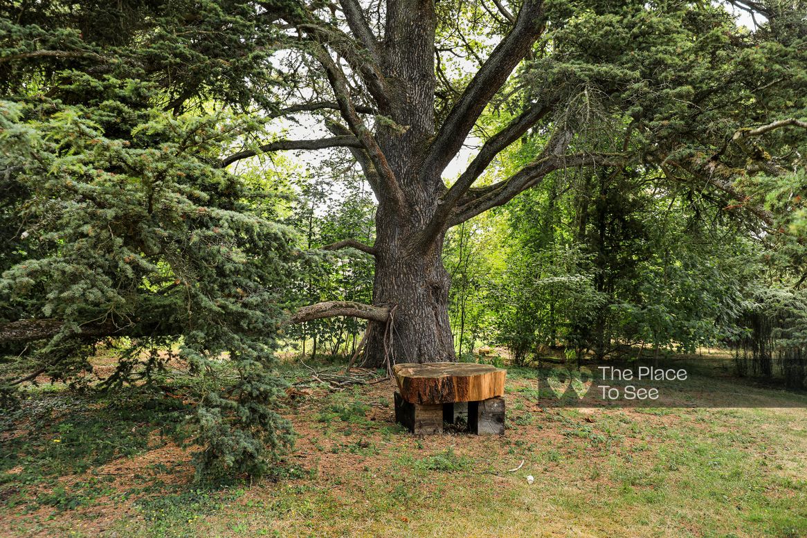 Arbre