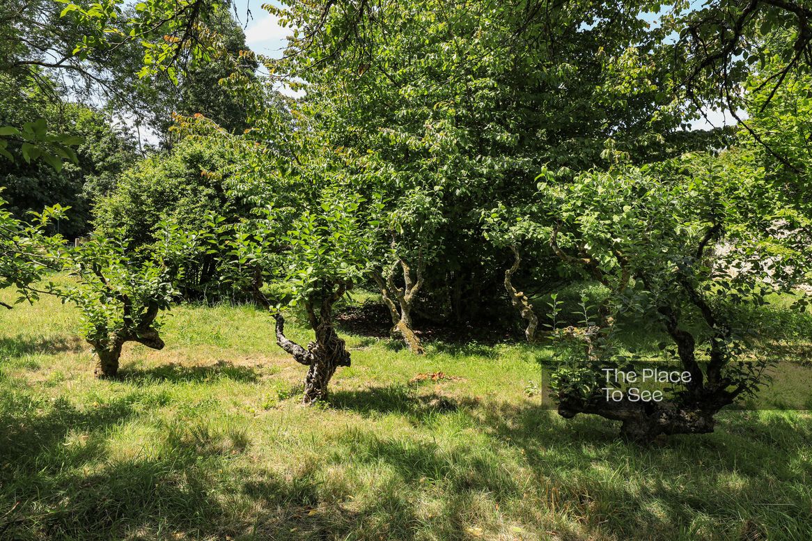 Potager / Verger