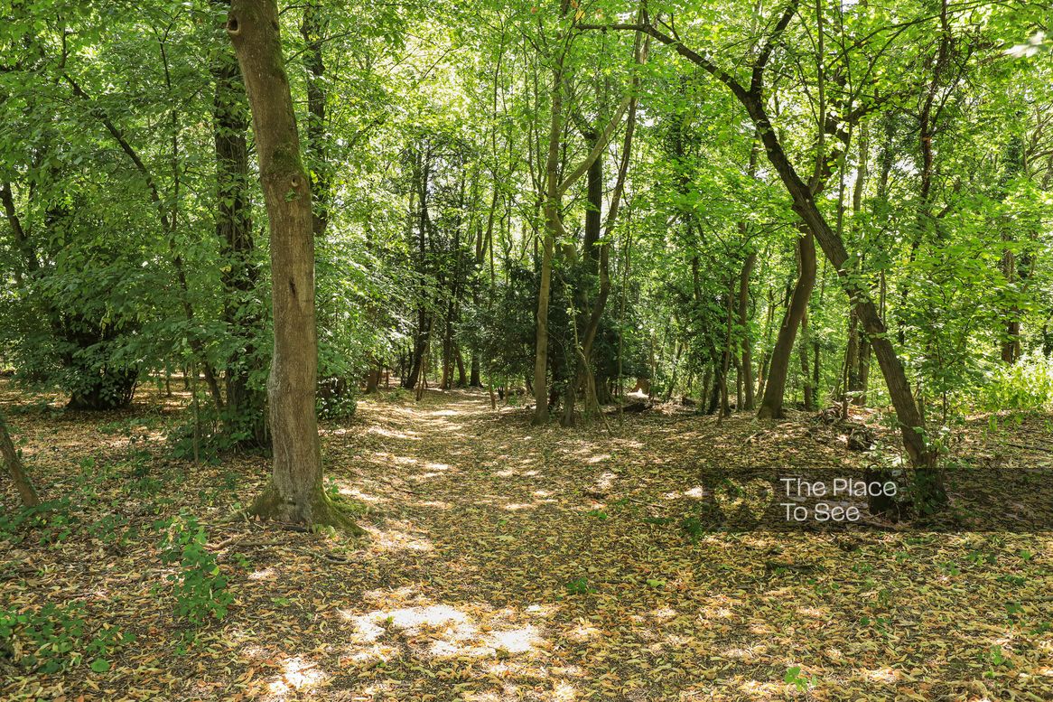Parc