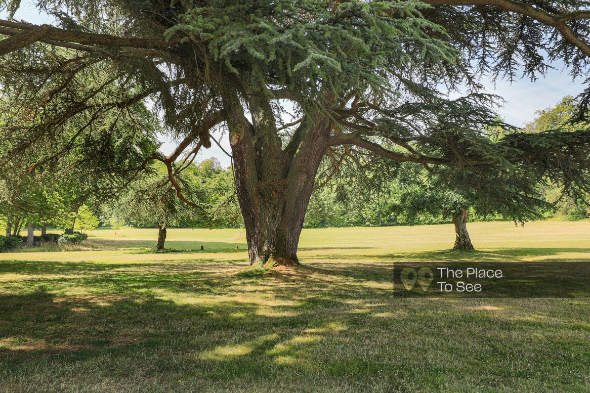 Arbre