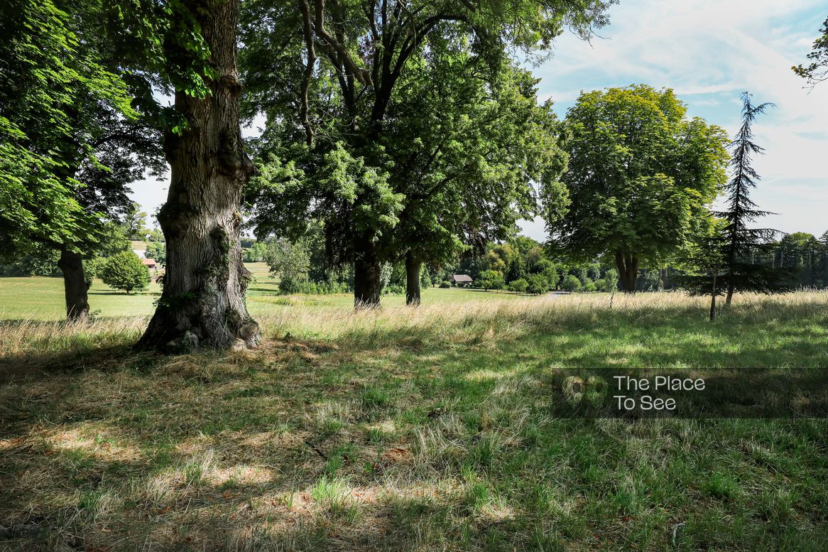 Arbre
