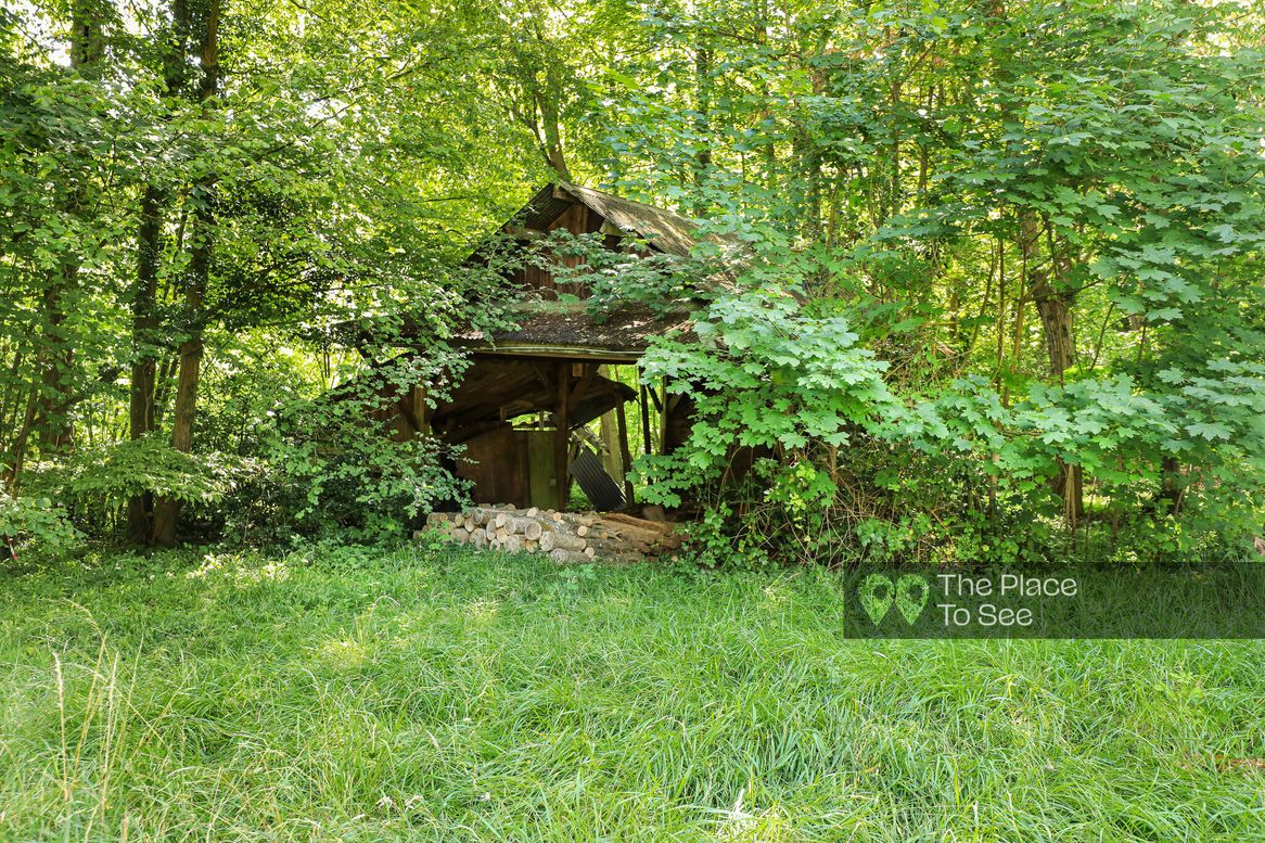 Cabane