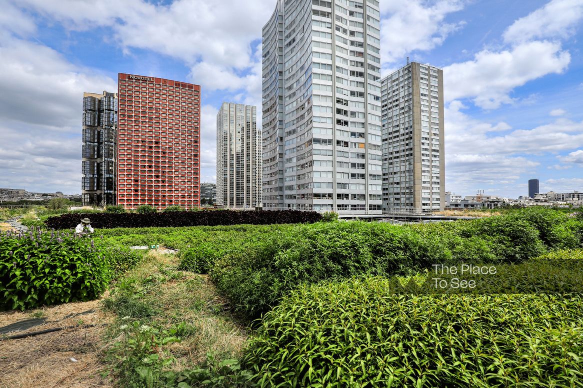 Rooftop végétalisé
