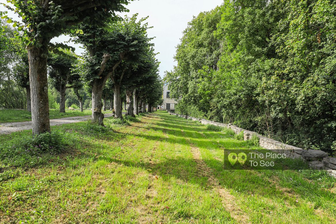 Allée