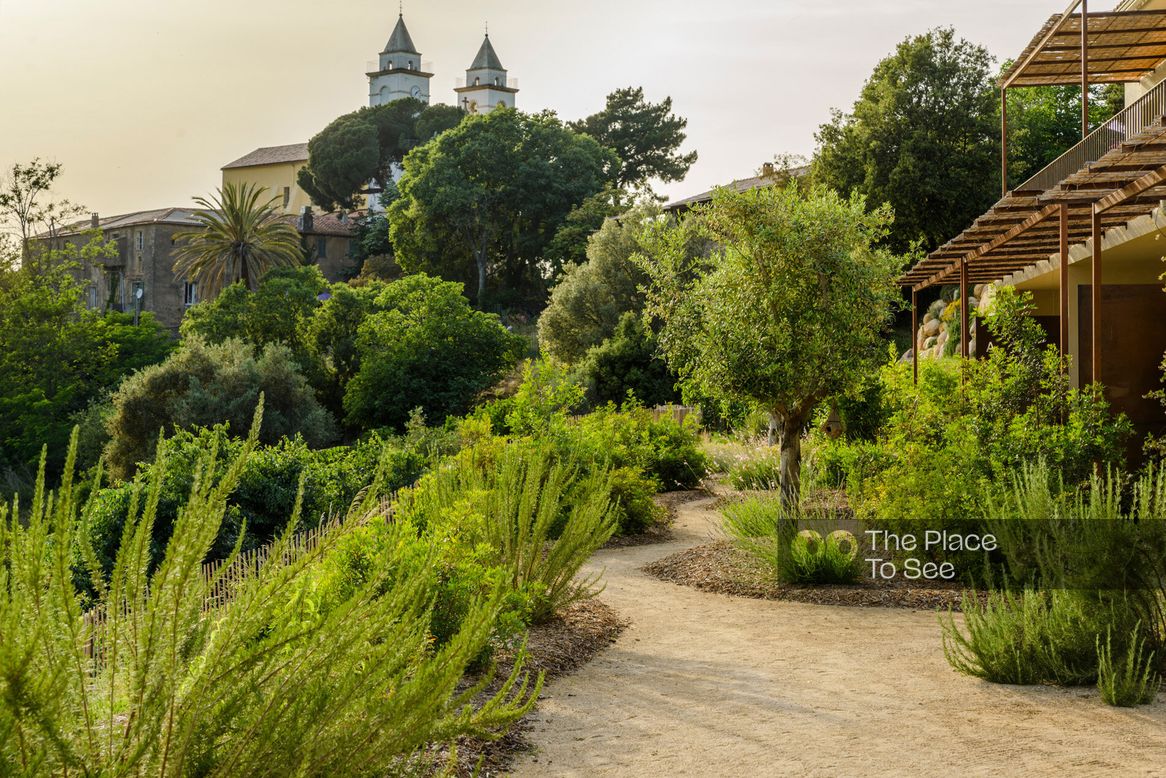 Jardin