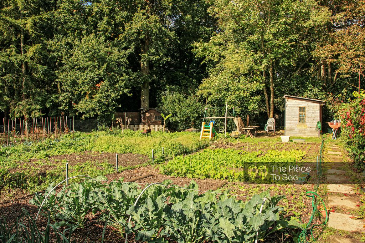 Potager / Verger