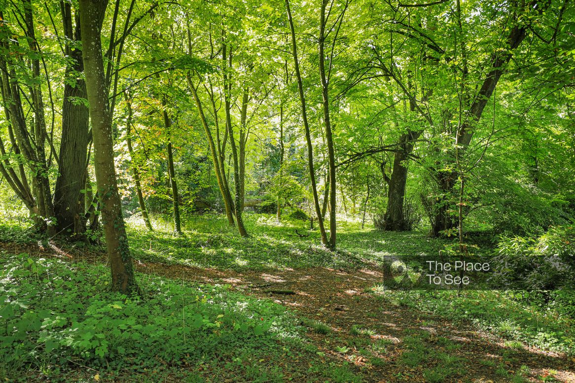 Parc