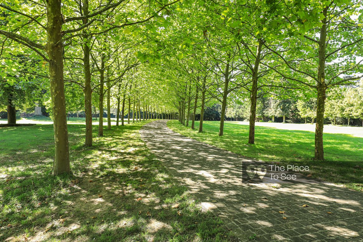 Allée