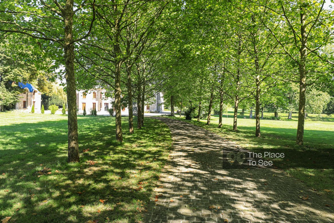 Allée