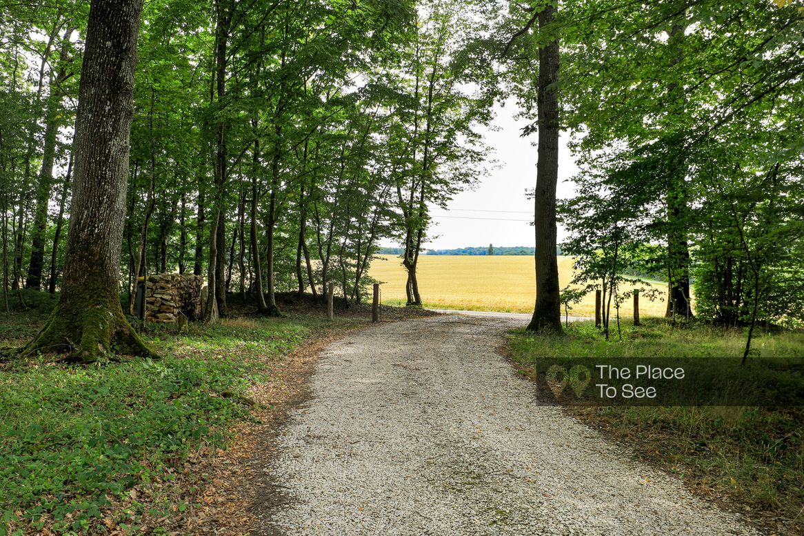 Allée