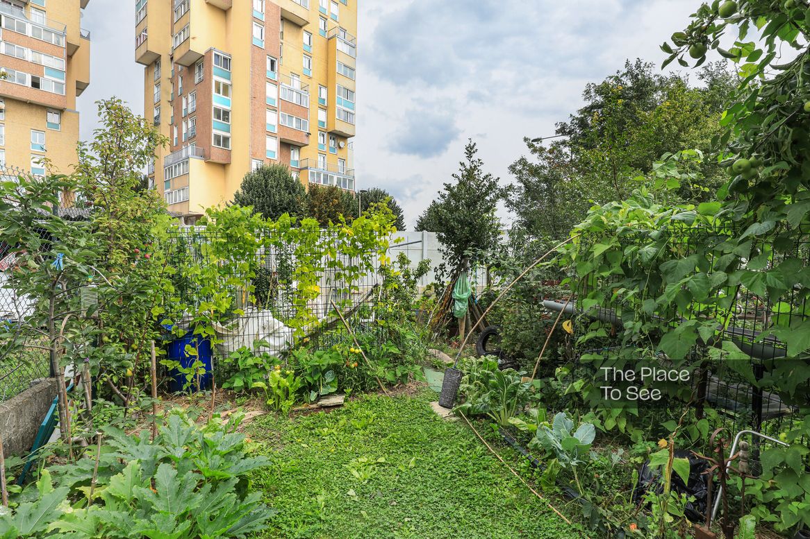 Jardin