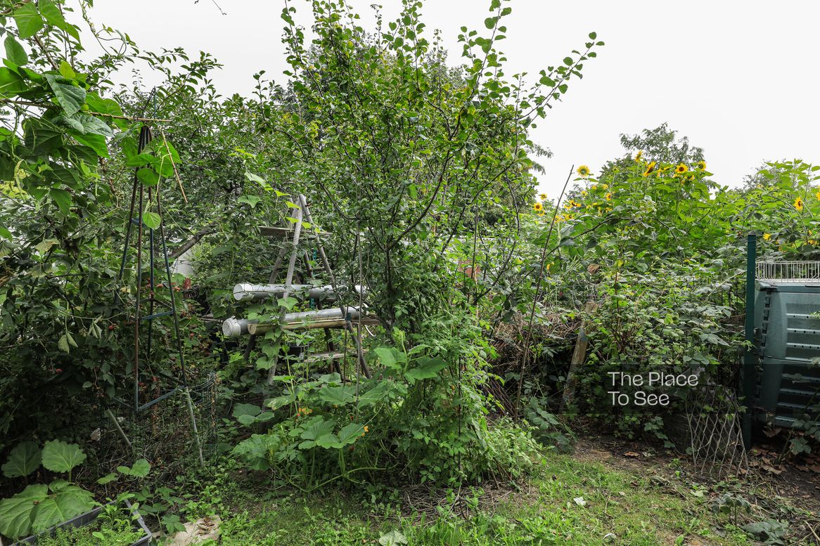 Jardin