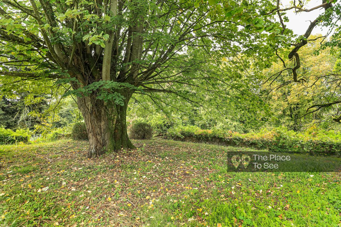 Parc
