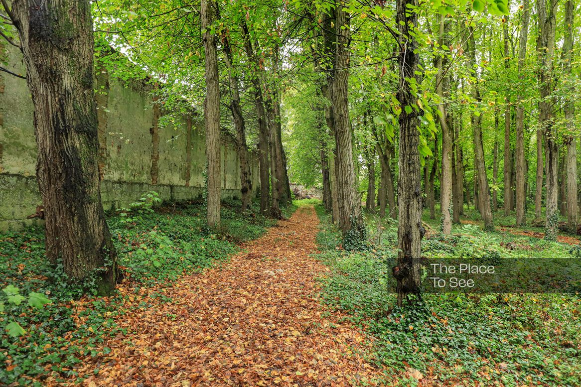 Allée