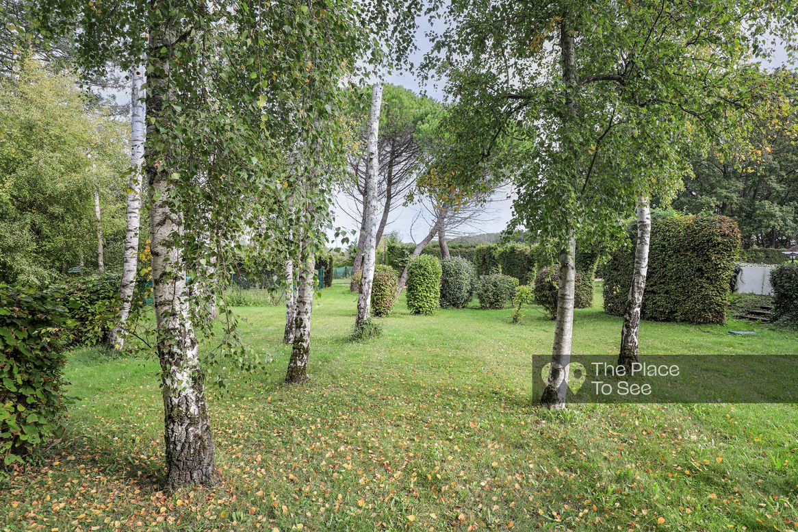 Arbre
