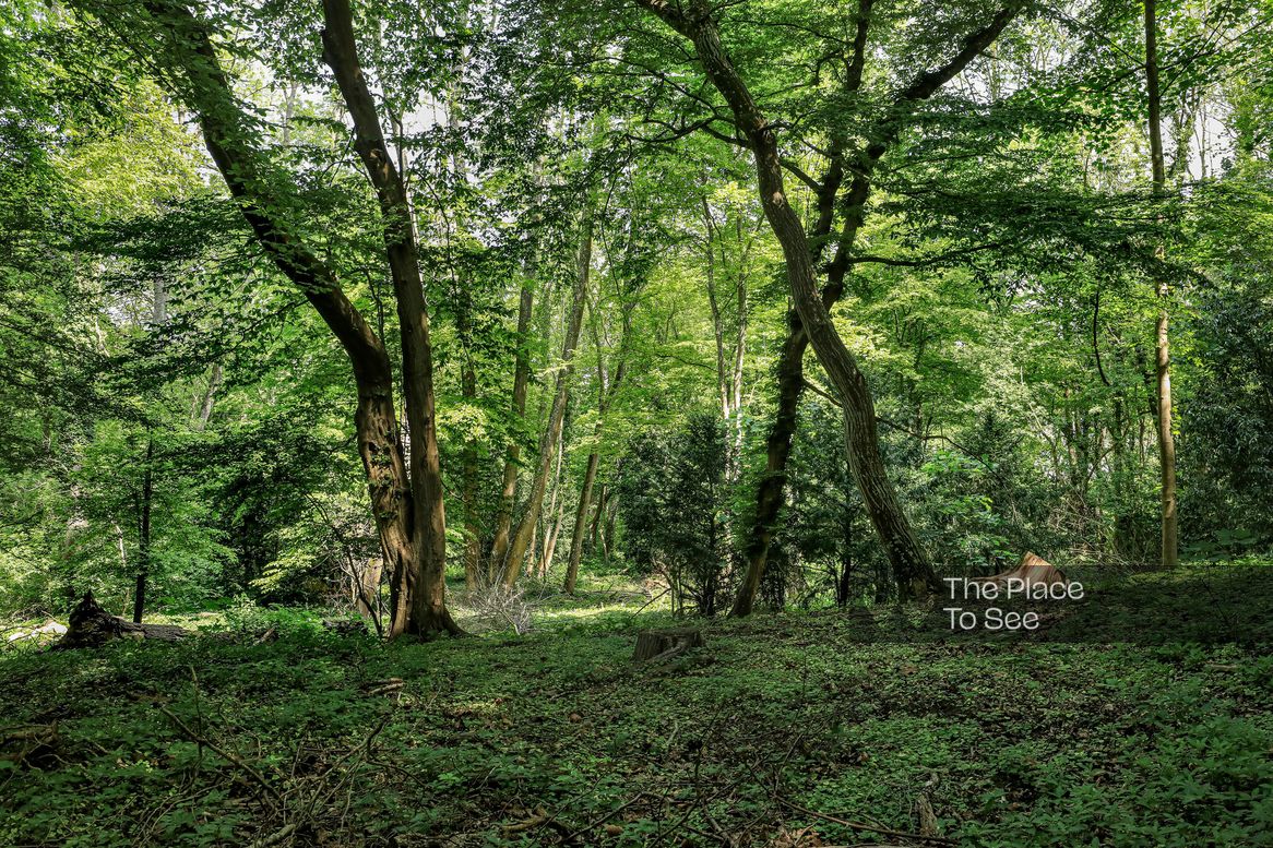Arbre