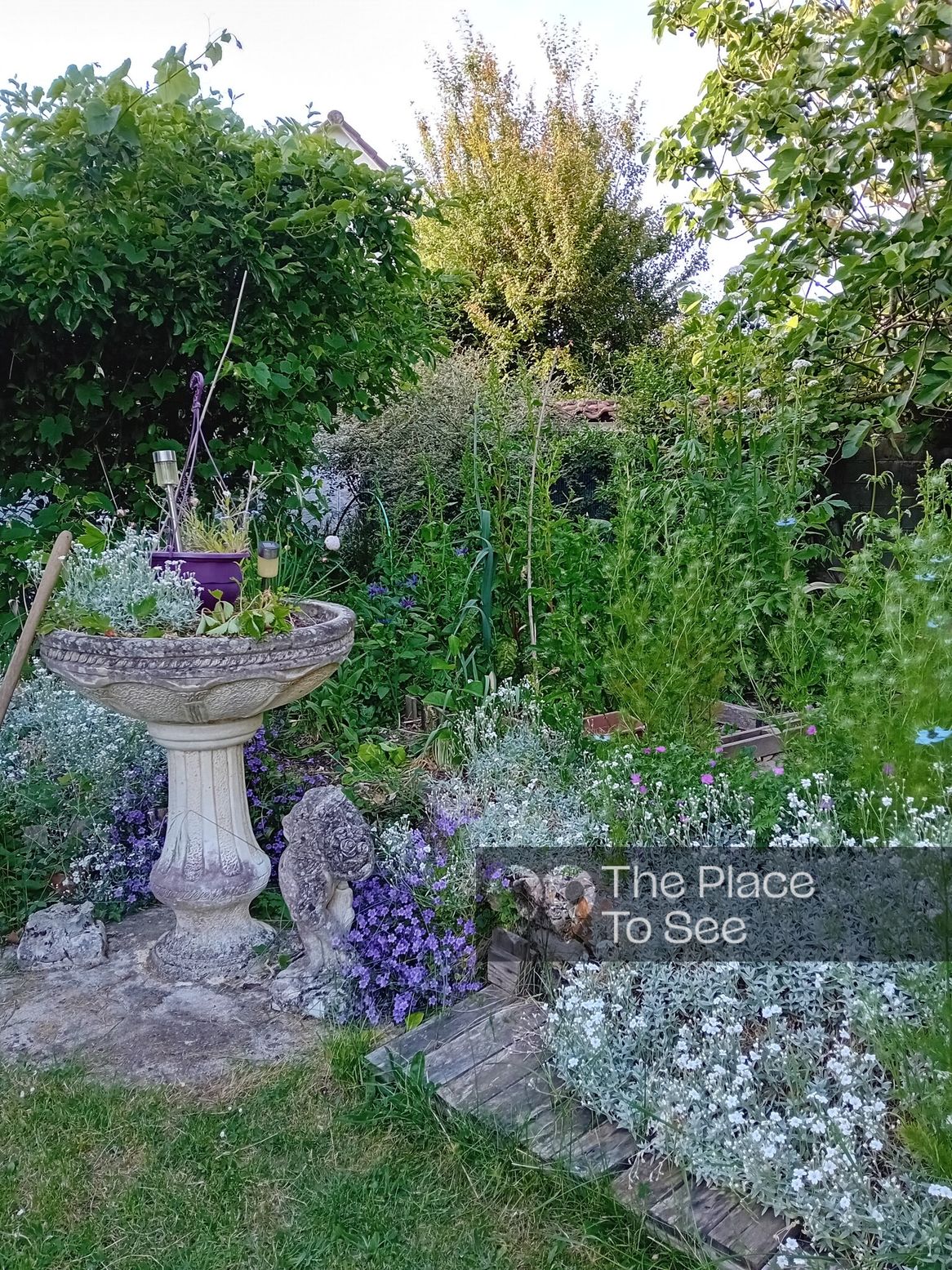 Jardin