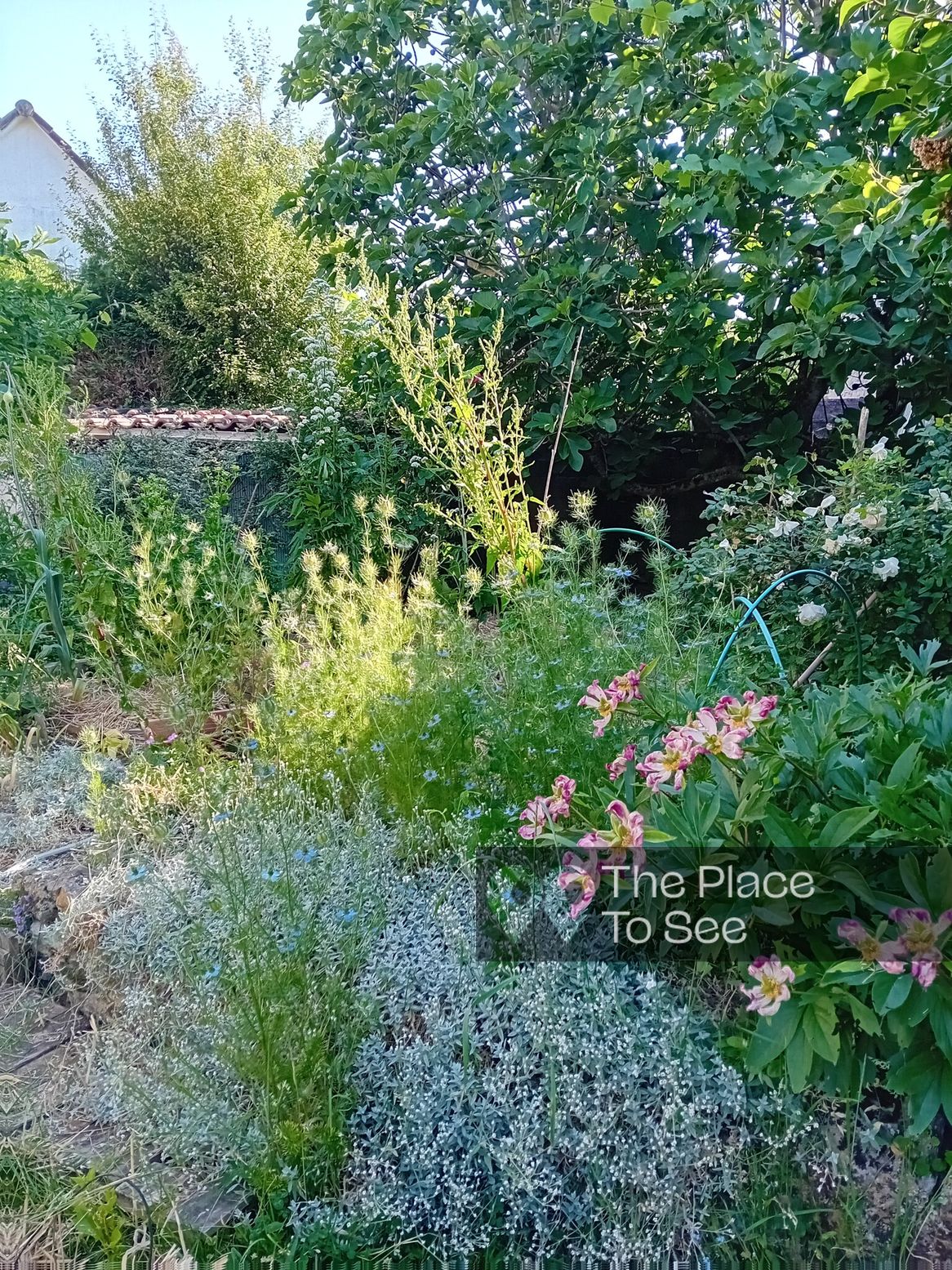 Jardin