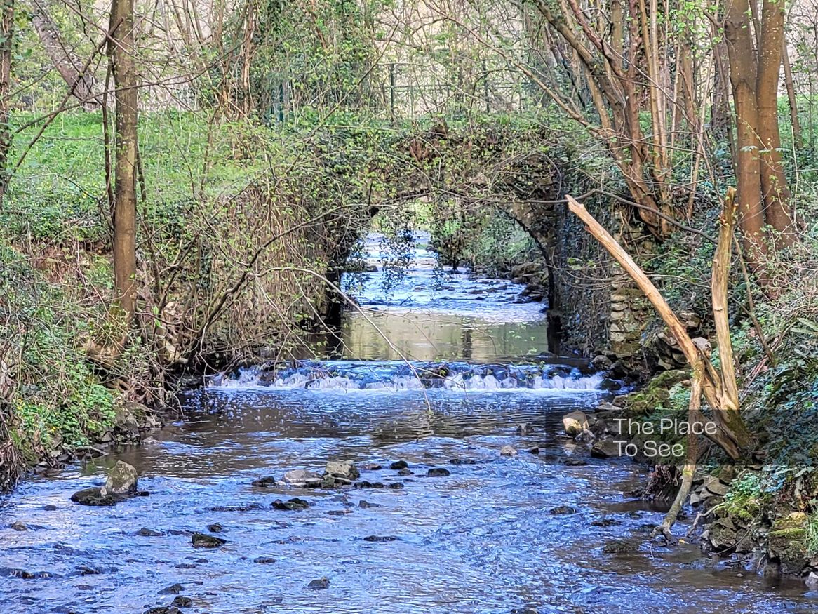 Rivière