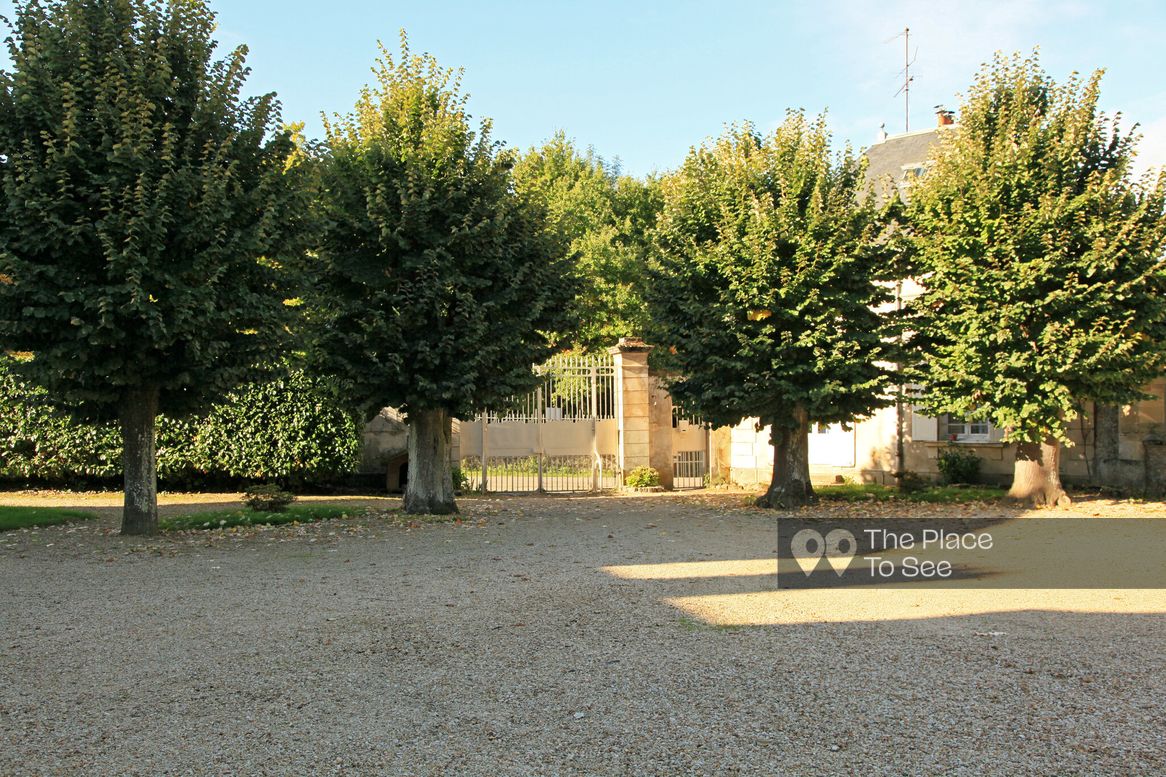 Cour
