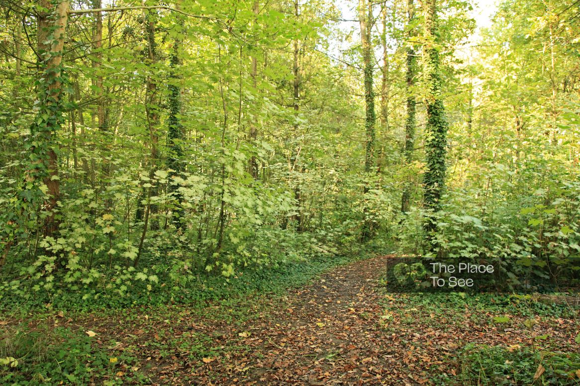 Parc