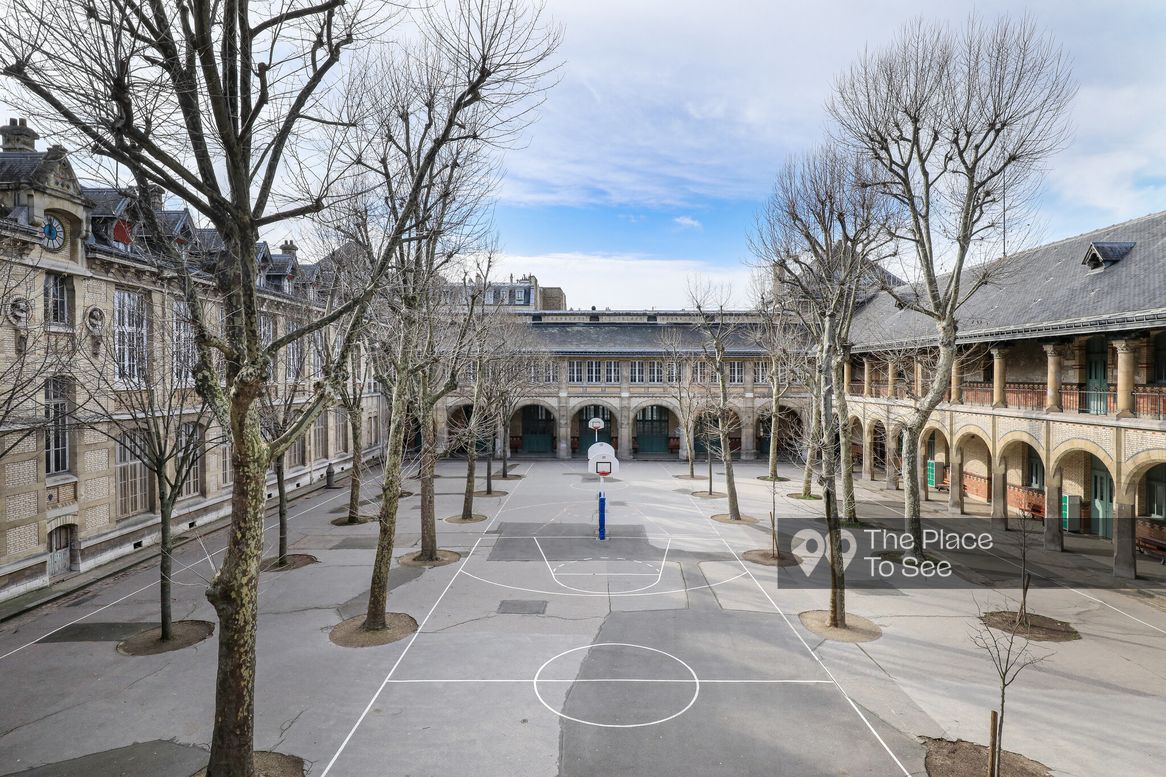 Cour