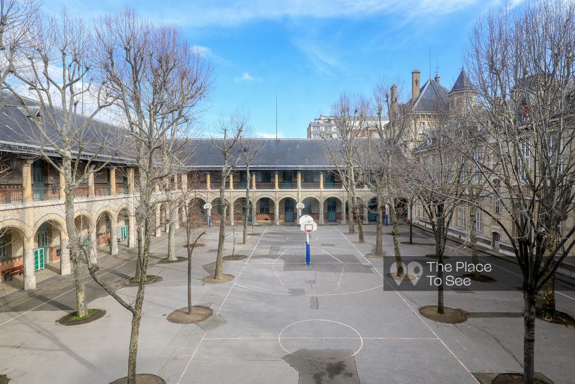 Cour