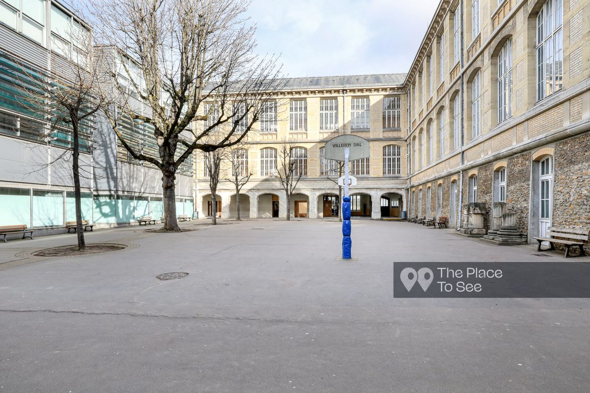Cour