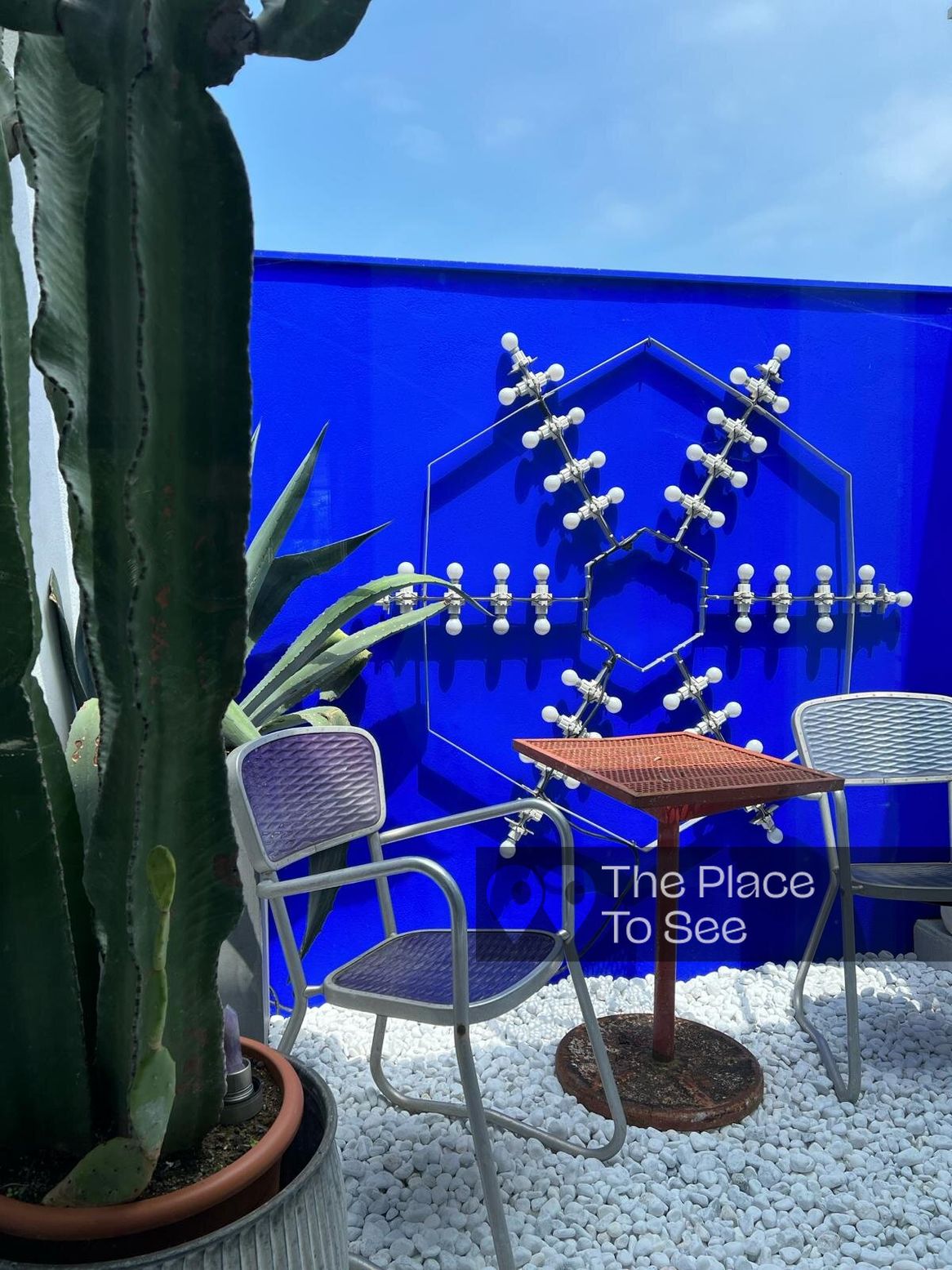 Jardin d'hiver/Patio