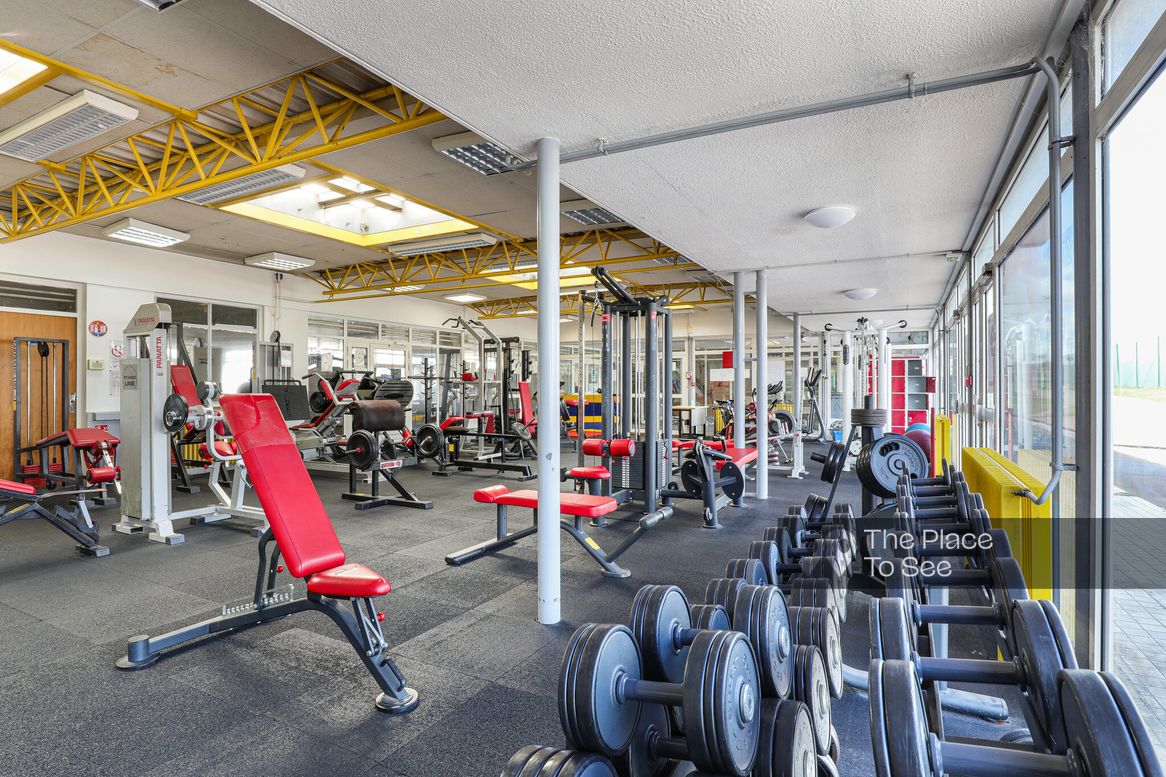 Musculation Fitness