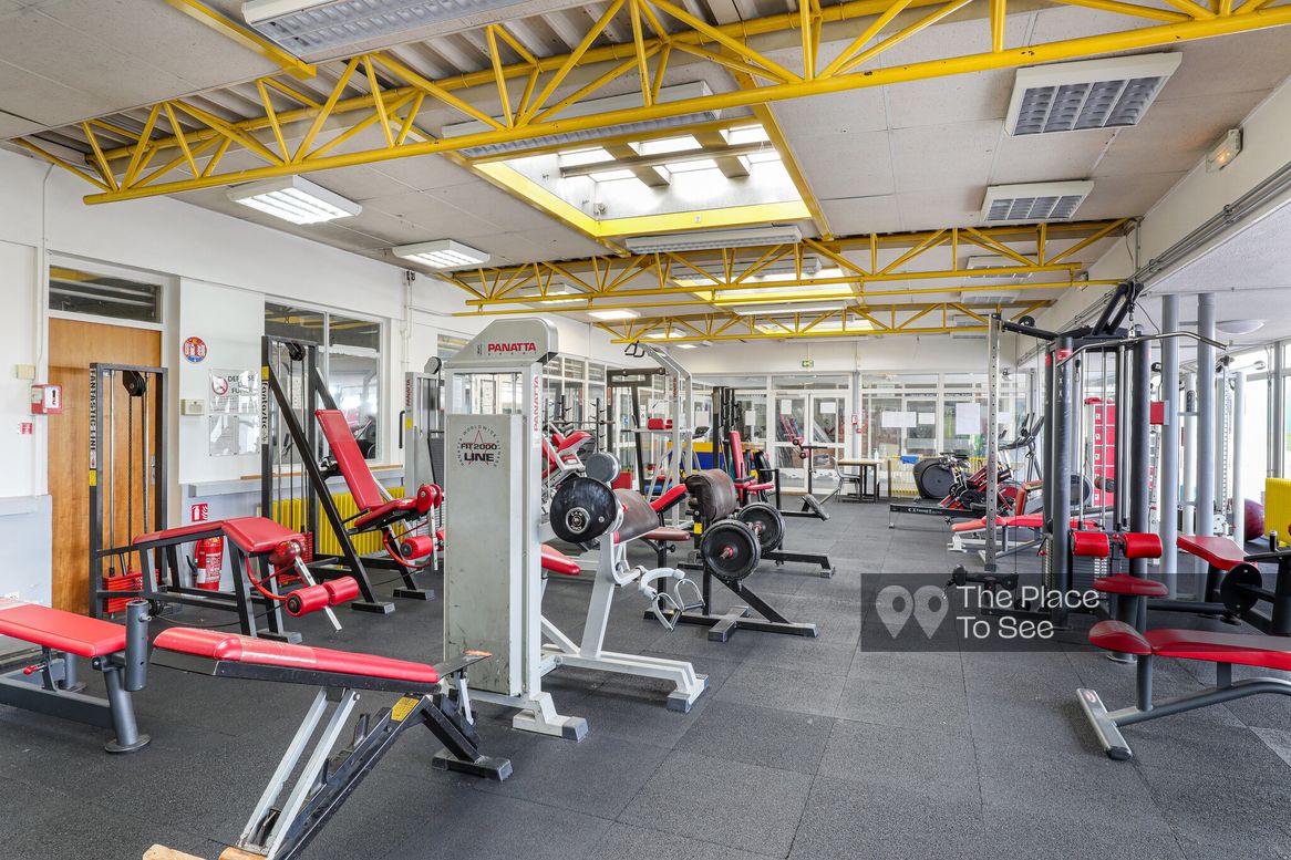 Musculation Fitness
