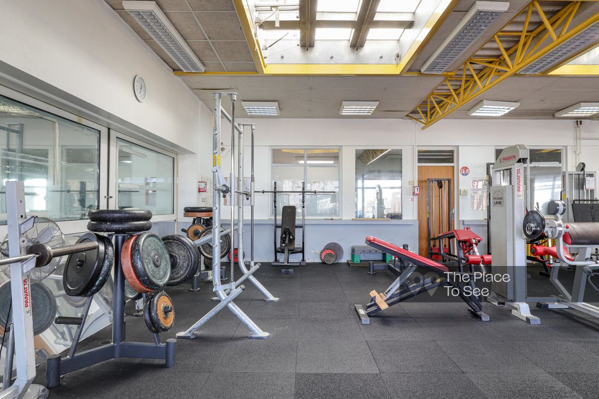 Musculation Fitness