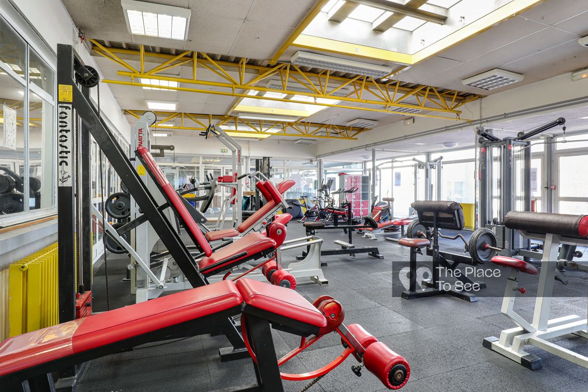 Musculation Fitness
