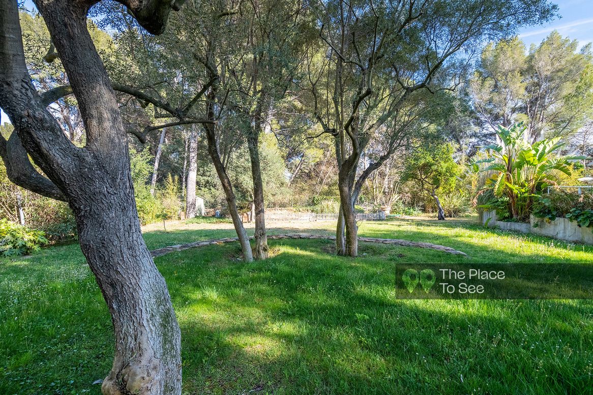 Jardin
