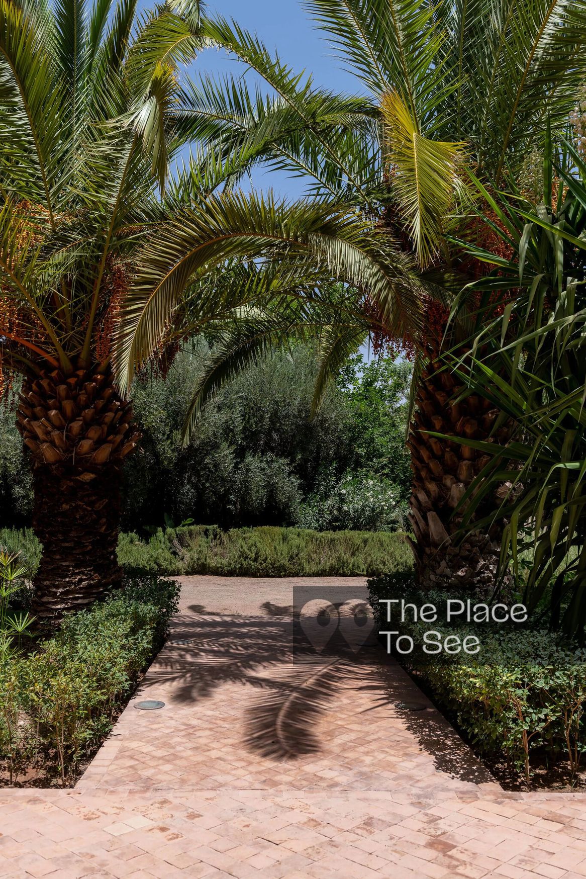 Jardin
