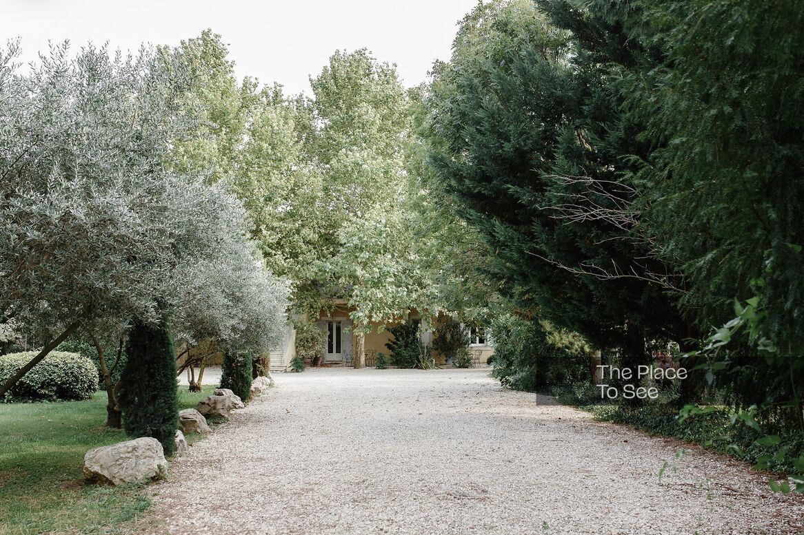 Cour