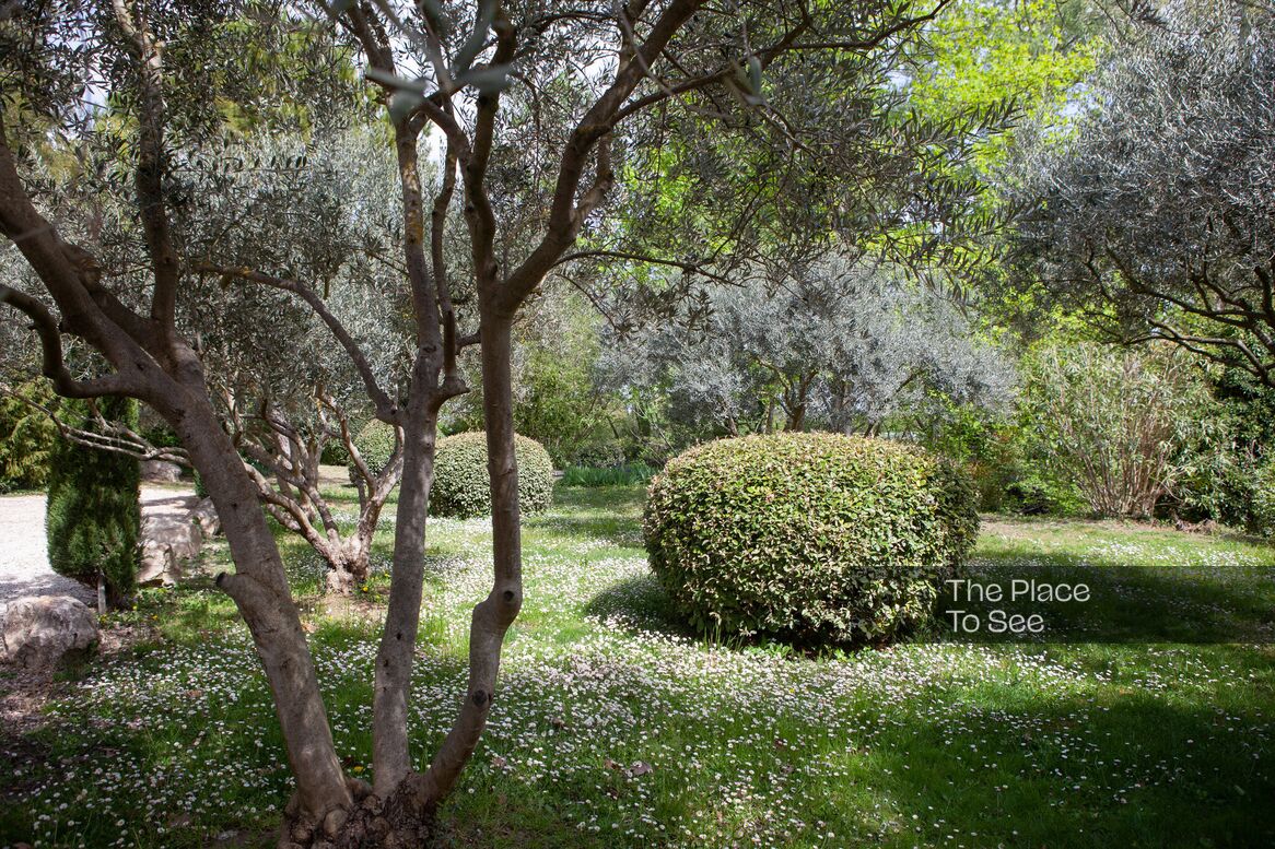 Jardin