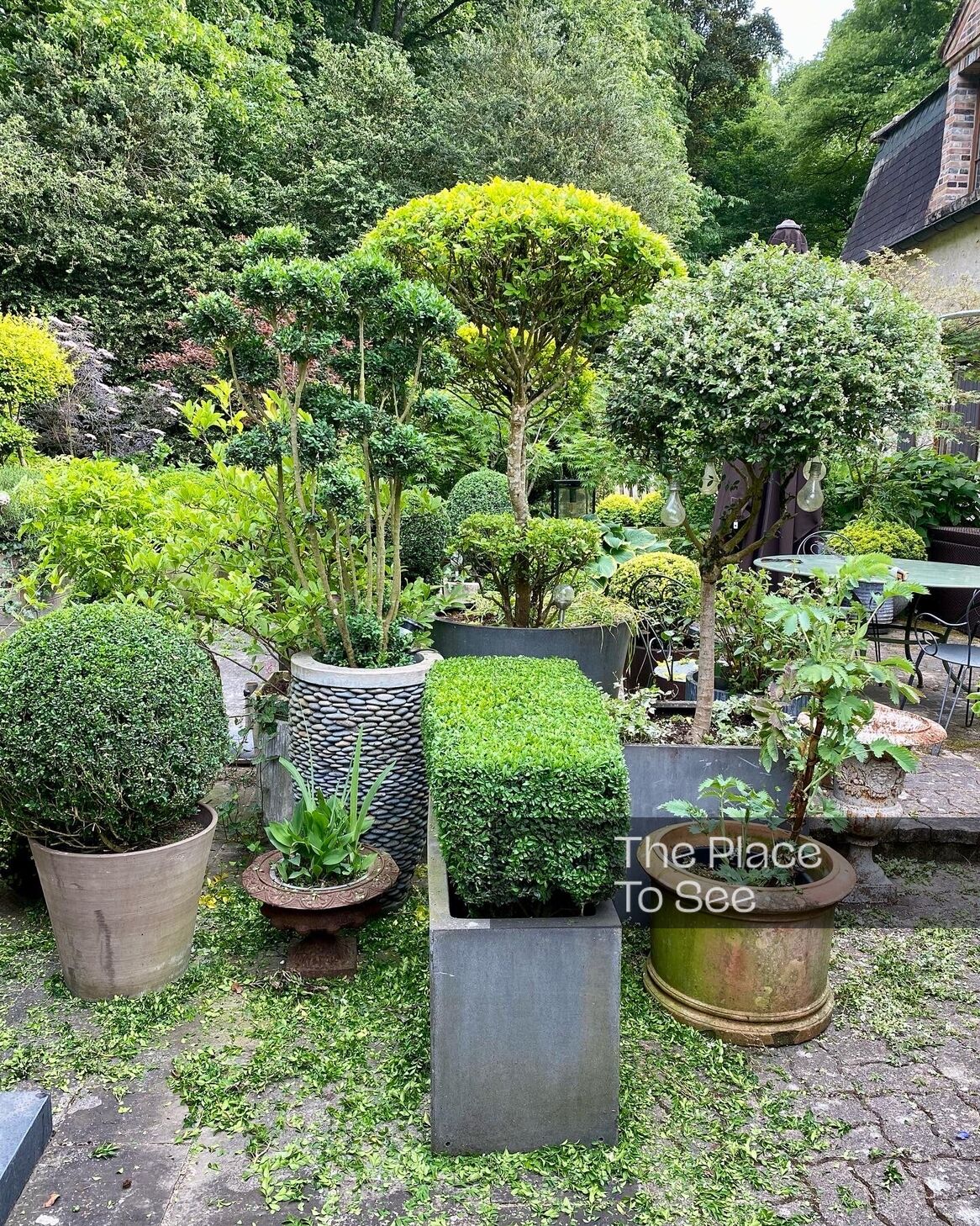 Jardin