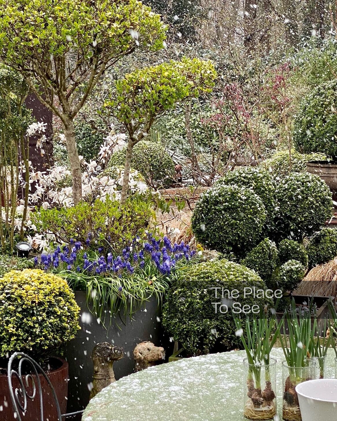 Jardin