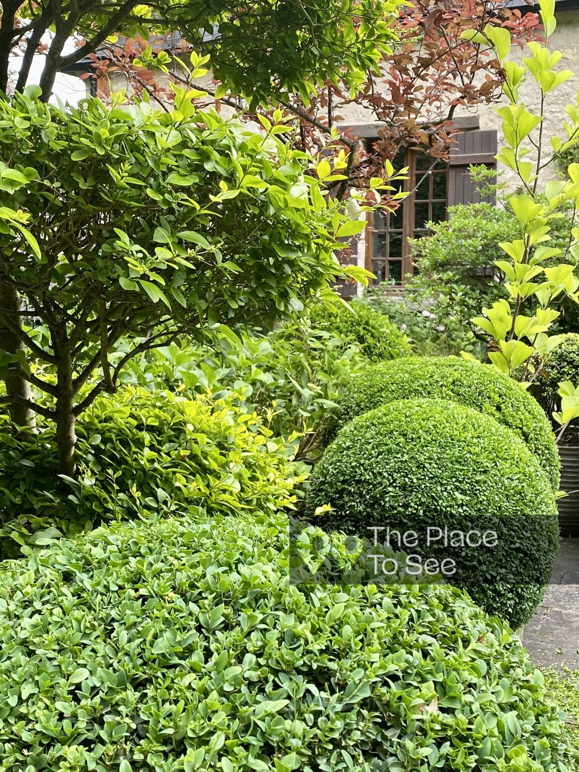 Jardin