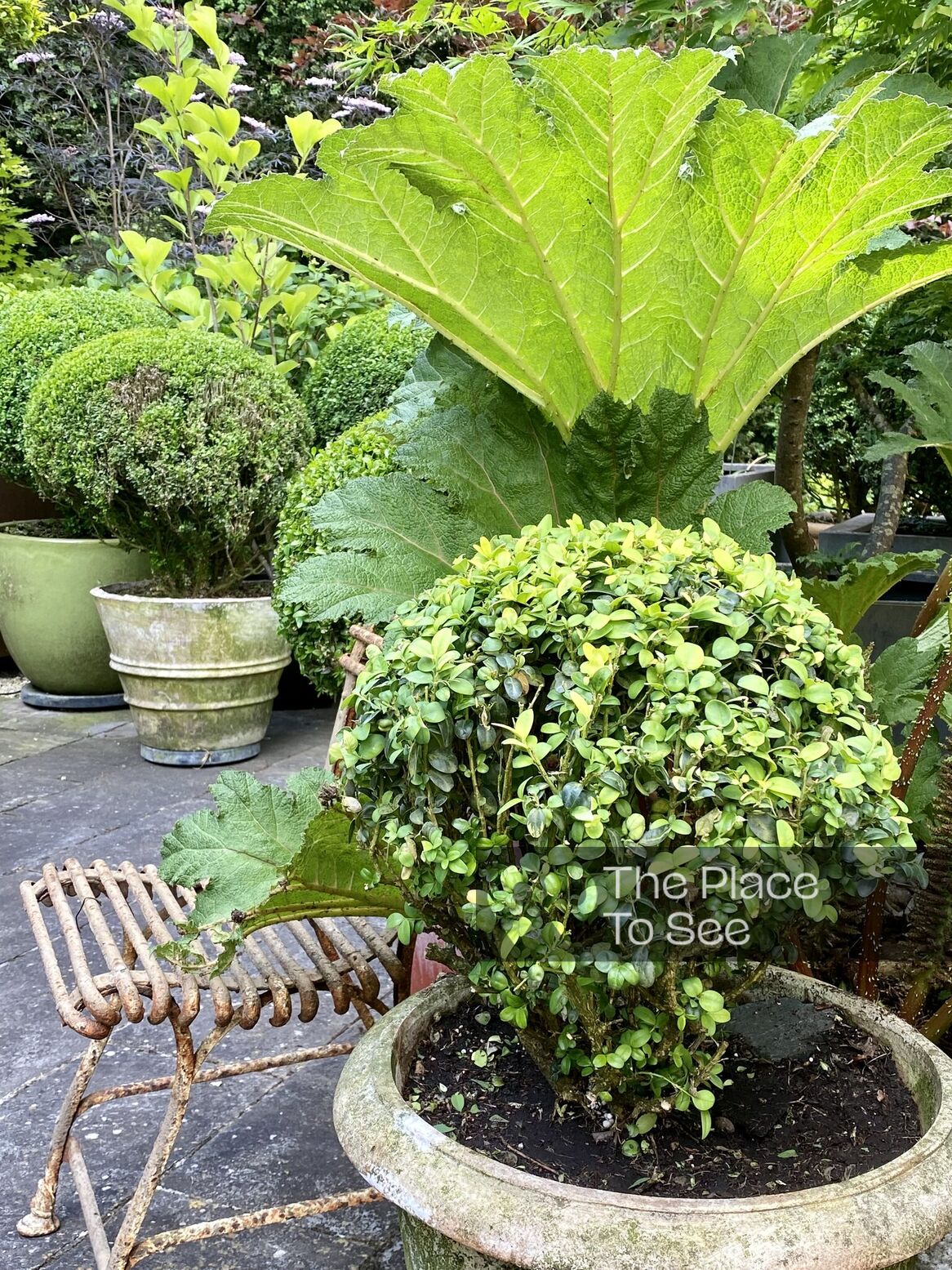 Jardin