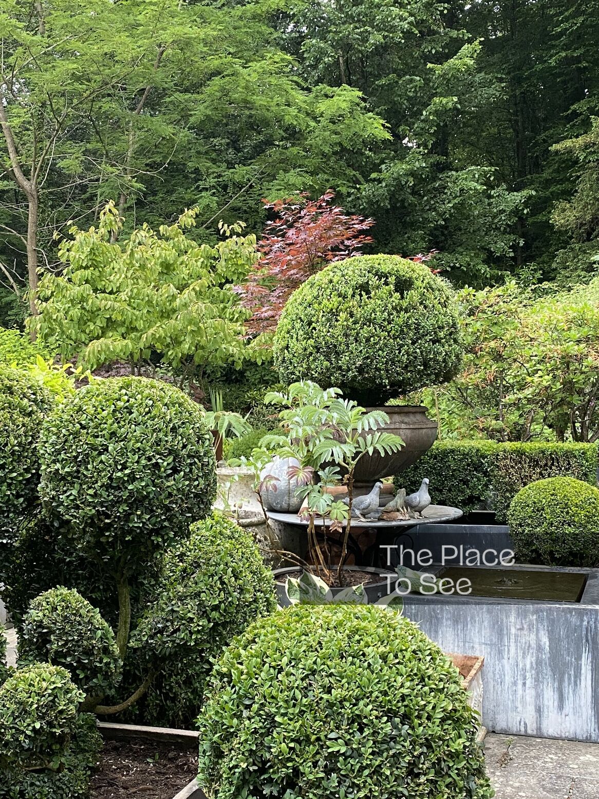 Jardin