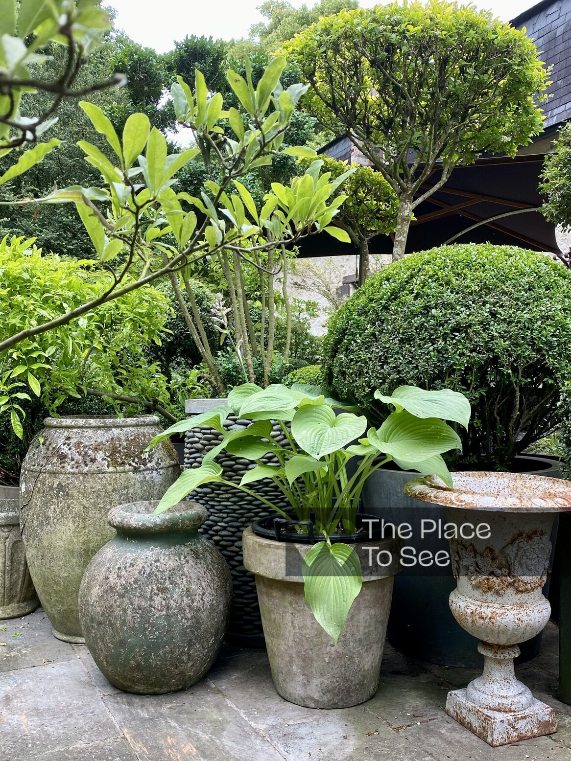 Jardin