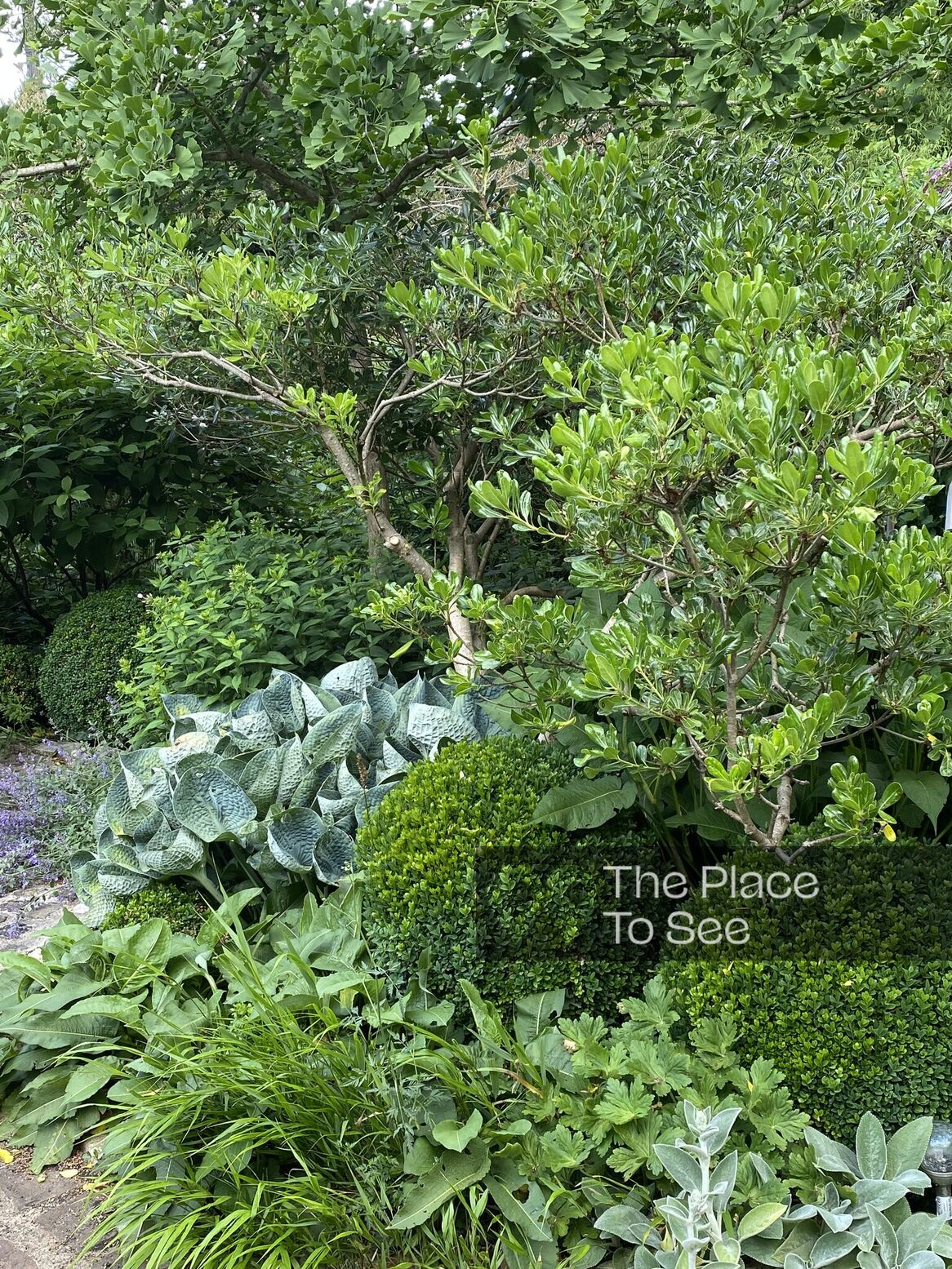 Jardin
