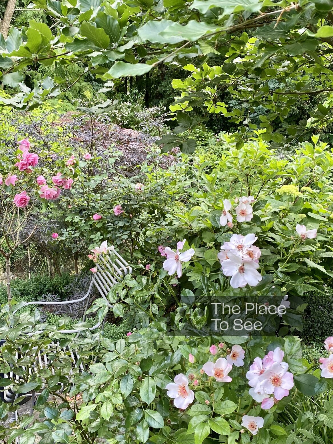 Jardin