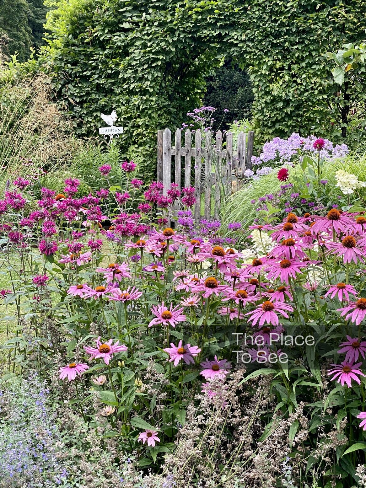 Jardin