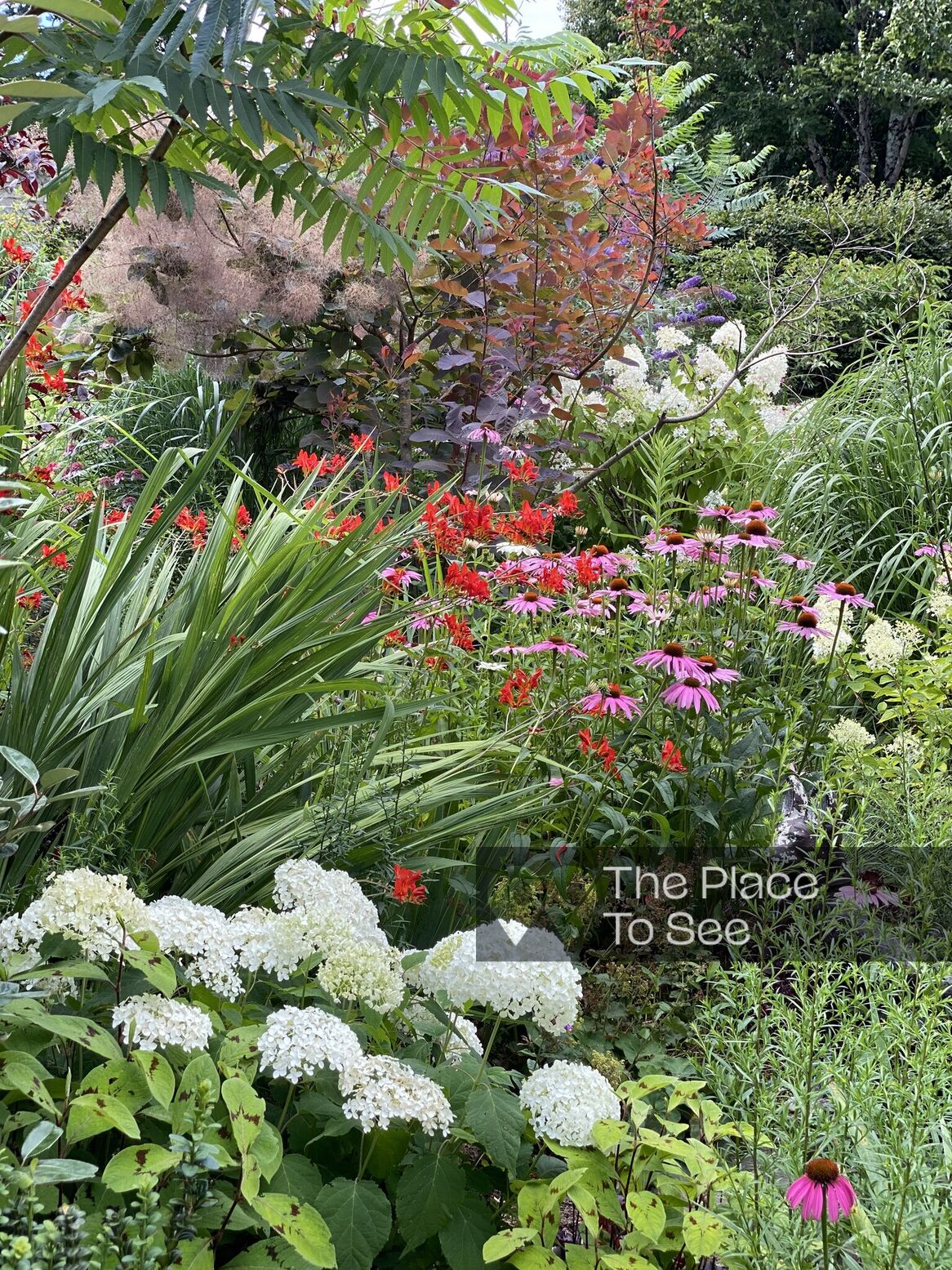 Jardin